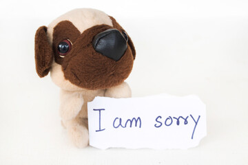 i am sorry message card handwriting with dog toy arrangement flat lay postcard style on background...