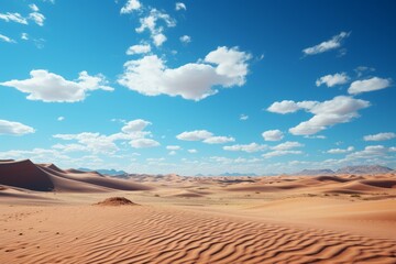 Fototapeta na wymiar Ecoregion with sand dunes under a blue sky with cumulus clouds
