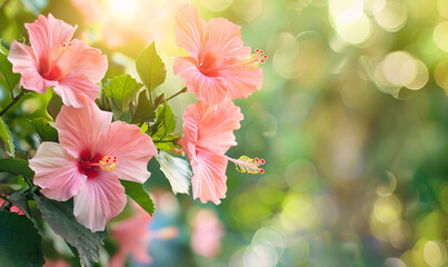 hibiscus flower-generative ai