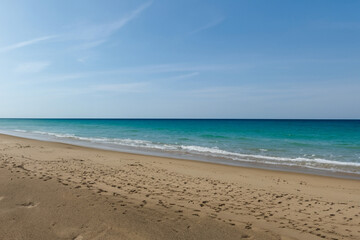 Fototapeta na wymiar Beautiful sandy beach and turquoise sea under the blue sky