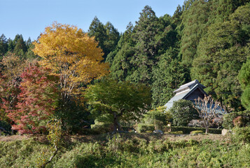  秋の京都大原　京都市