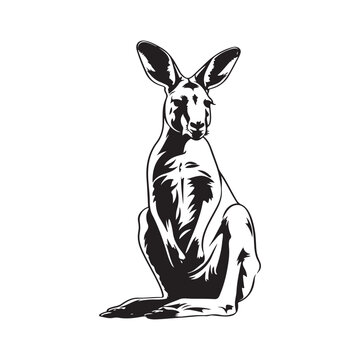 Kangaroo Illustration Images, art, design