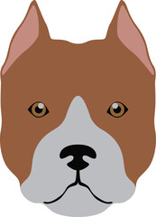 Pitbull dog head illustration