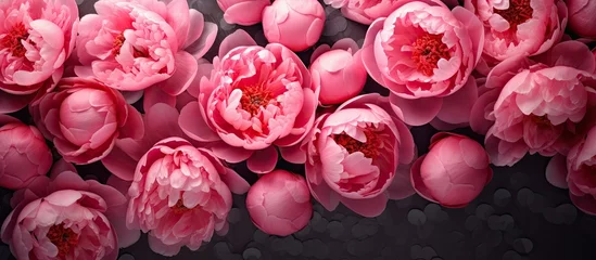 Zelfklevend Fotobehang Pink blossoms against dark backdrop © Ilgun