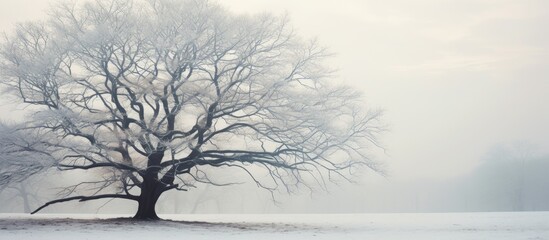 Lonely tree standing in snow-covered field