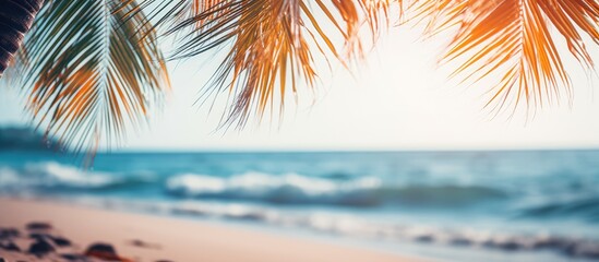 Fototapeta na wymiar Palm tree leaves on sandy beach