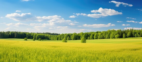 A serene landscape of grassy meadow with foliage under clear blue sky - Powered by Adobe