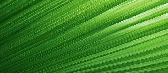 Obraz premium Close-up of a vibrant green leaf