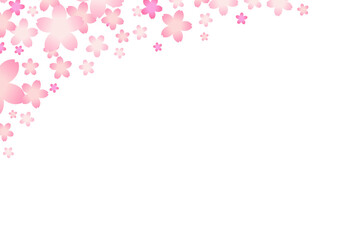 Frame material of cherry blossoms in full bloom. transparent background.