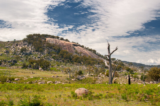 Near Stanthorpe, South East Queensland: A rugged landscape adorned with granite rocks, offering scenic beauty and geological wonders