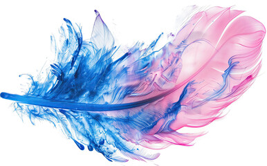 Pink and light blue ostrich feather