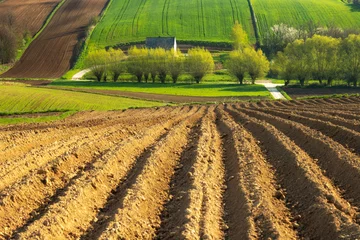Poster Beautiful spring rural landscape with plowed fields © Piotr Krzeslak