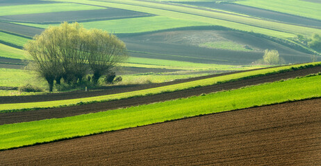 Beautiful spring rural landscape with plowed fields - 762030382