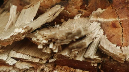 Papier Peint photo autocollant Texture du bois de chauffage Close up view  of woods for textured background, copy space