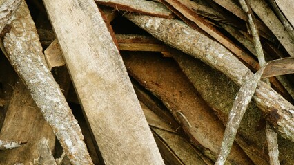 Close up view of bamboo stack, textured ba