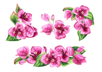 Bougainvillea flowers set. Hand drawn watercolor illustration isolated on white background