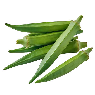 Fresh Okra vegetable png isolated on transparent background