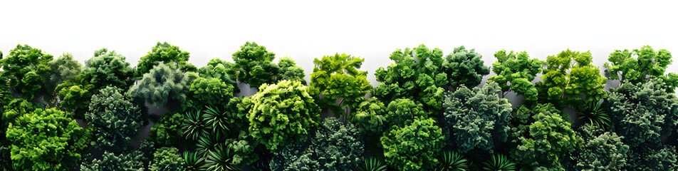 Top view of dense green foliage trees, isolated on white background. Ideal for nature-themed designs or environmental campaigns.