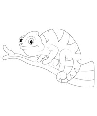 Chameleon coloring book page for kids