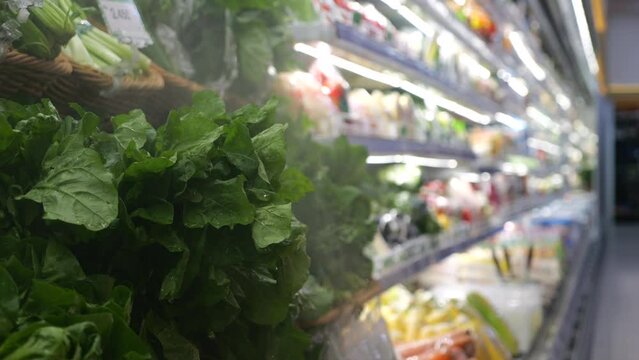 On shelf refrigerated display case in supermarket, fresh lettuce leaves, juicy herbs and vegetables. Range of fresh quality products attracts attention customers, promising delicious and fresh dishes.