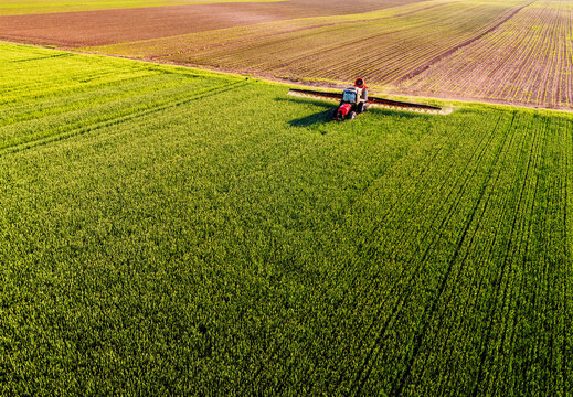 Bird's-eye view of a lone farmer working in the middle of expansive, colorful wheat agricultural fields
