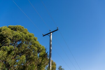 Powerlines in the bush in Australia. Power poles a fire hazard in the forest