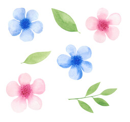 Obraz premium Botanical watercolor illustration of a set of flowers and leaves, hand-drawn. Decorative elements for a holiday, design, decoration isolated on a white background. The texture of watercolor on paper.