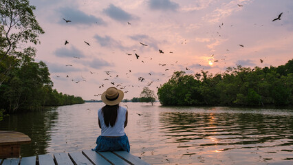Sea Eagles at sunset in the mangrove of Chantaburi in Thailand