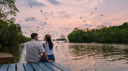 Sea Eagles at sunset in the mangrove of Chantaburi in Thailand