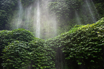 Serene Waterfall Amidst Lush Greenery in Lombok, Indonesia. A tranquil retreat in the heart of...