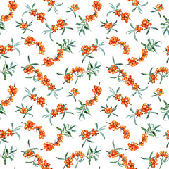 Watercolor botanical seamless pattern with medicinal plant sea buckthorn branches. Hand drawn illustration on isolated background for wrapping wallpaper fabric textile