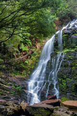 Fototapeta na wymiar Waterfall in Tasmania, Australia