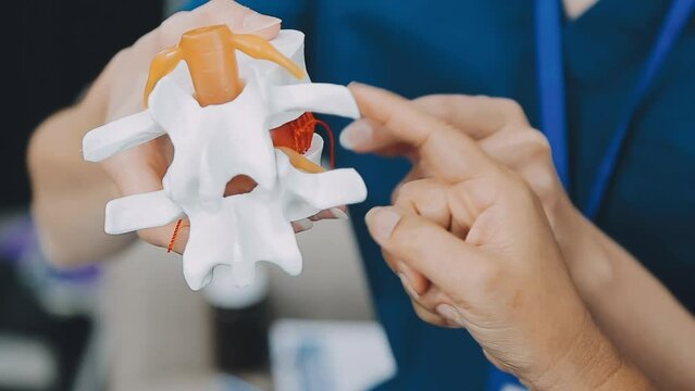 Doctor with human Pancreatitis anatomy model with Pancreas, Gallbladder, Bile Duct, Duodenum, Small intestine. Pancreatic cancer, Acute and Chronic pancreatitis, Digestive system and Health concept
