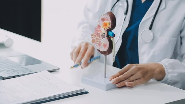 Doctor with human Pancreatitis anatomy model with Pancreas, Gallbladder, Bile Duct, Duodenum, Small intestine. Pancreatic cancer, Acute and Chronic pancreatitis, Digestive system and Health concept