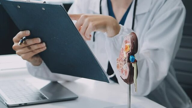 Doctor with human Pancreatitis anatomy model with Pancreas, Gallbladder, Bile Duct, Duodenum, Small intestine. Pancreatic cancer, Acute and Chronic pancreatitis, Digestive system and Health concept
