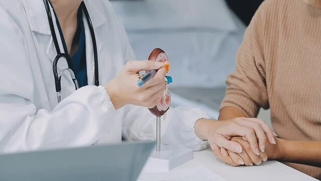 Doctor with human Pancreatitis anatomy model with Pancreas, Gallbladder, Bile Duct, Duodenum, Small intestine. Pancreatic cancer, Acute and Chronic pancreatitis, Digestive system and Health concept