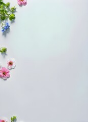 flowers on a white blanck background