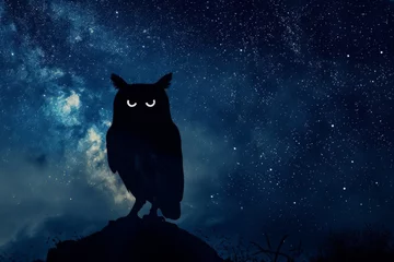 Poster Silhouette of an owl with smoke eyes under a starry night wisdom scene. © furyon