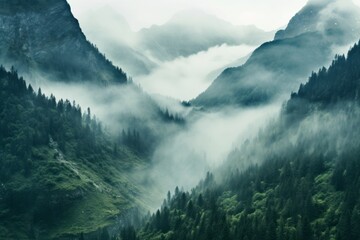 Mountain slopes with growing coniferous trees, shrouded in fog and cloudy sky. The concept for the development of tourism, mountaineering, skiing, rock climbing, excursions in the mountains.  
 - obrazy, fototapety, plakaty
