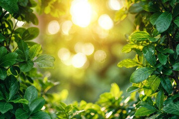 Fototapeta na wymiar Sunlight Filtering through Vibrant Green Leaves in Spring Illustration
