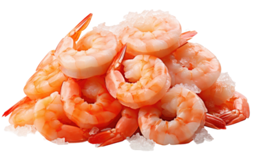 A Pile of Shrimp on a White Background. On a White or Clear Surface PNG Transparent Background.