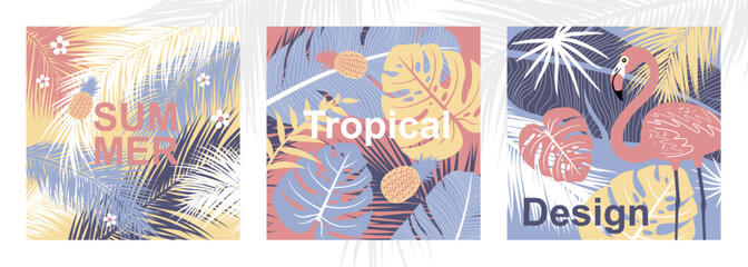 Set of tropical summer banner design on white background Vector illustration