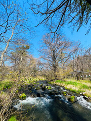 Landscape of the river and park natural scenery of the Hoshino area of Karuizawa, Japan. with blue sky background - 762083387