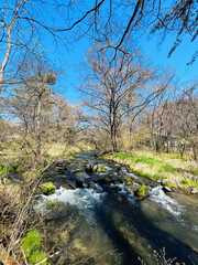 Landscape of the river and park natural scenery of the Hoshino area of Karuizawa, Japan. with blue sky background - 762083388