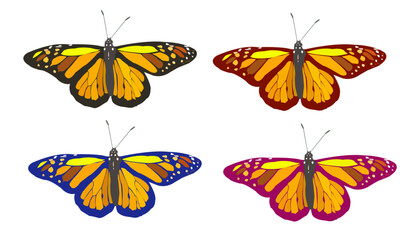 Colorful butterflies