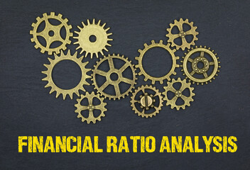 Financial Ratio Analysis	
