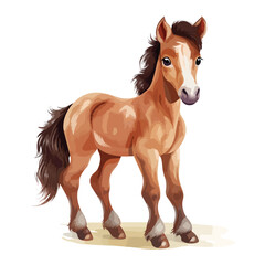 Baby Horse Clipart isolated on white background