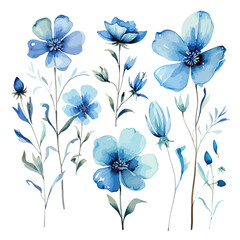 Blue Wildflowers Watercolor clipart