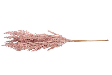 Isolated gilded twig for New Year decorations on a white background