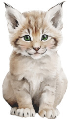 Obraz premium Realistic Watercolor Baby Lynx Animal. Fluffy Forest Friends. Woodland Nursery.